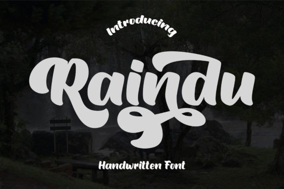 Raindu: The Bold Script Font That Elevates Campaign Visuals
