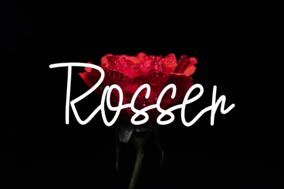 Rosser Typeface: A Bold Choice for Modern Brand Identity
