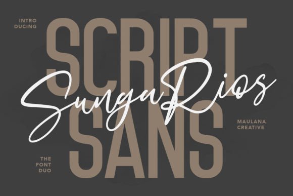 Sungarios Font Review: A Versatile Typeface for Web & Brand